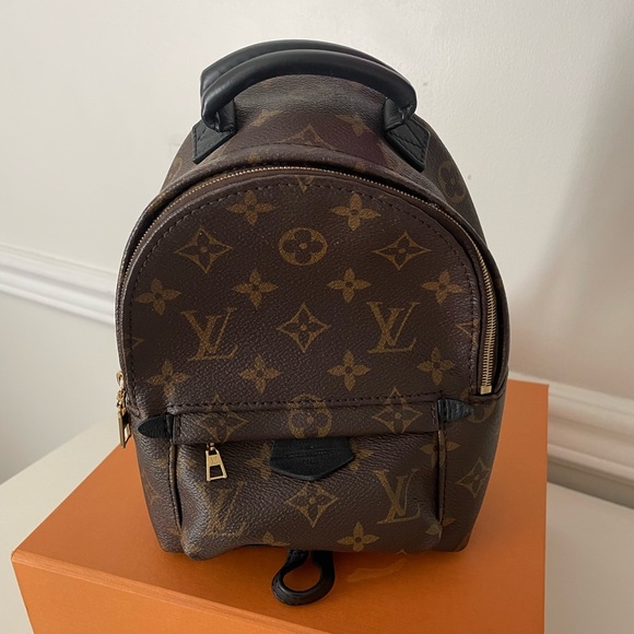 LOUIS VUITTON (Mini Palm Springs) - Picture 1 of 6